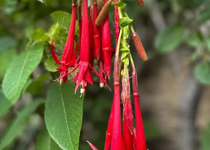 Sol Natura 3* Ollantaytambo